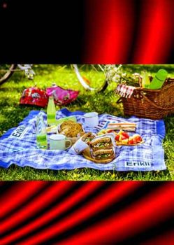 Pötikareli kumaşlardan Piknik Örtüsü