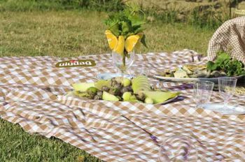 Pötikareli kumaşlardan Piknik Örtüsü